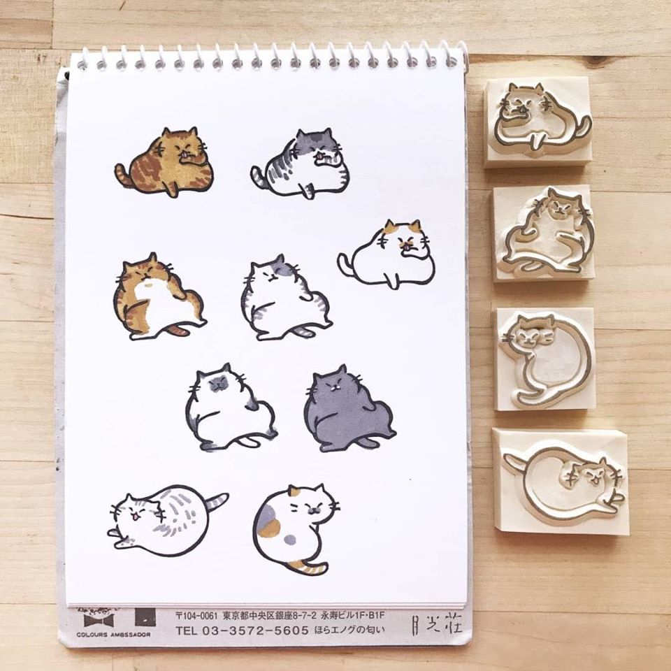 117665862_1832192430265981_1092599882530537440_o